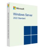 Windows Server Standard 2022 User Cals 100 PCS