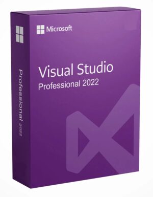 Visual Studio 2022 Professional 2 User License Key