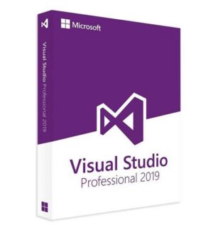 Visual Studio 2019 Professional 2 Users License Key